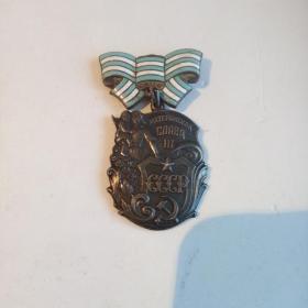 Медаль Материнской Славы 3 степень(серебро).