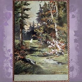 Антикварная открытка "Лесной пейзаж"