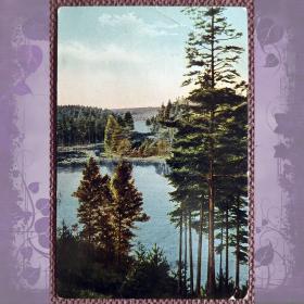 Антикварная открытка "Пункахарью". Финляндия