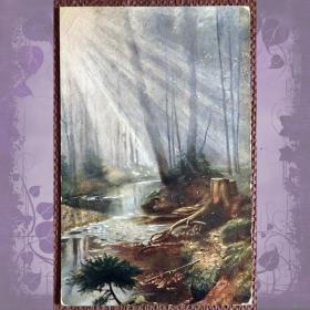 Антикварная открытка "Солнечные лучи в лесу"