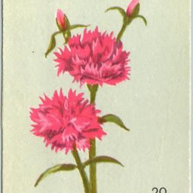 Открытка Цветы 1970