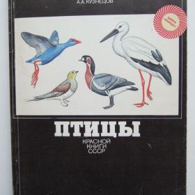 1986г. В.Г. Бабенко птицы Красной книги СССР (25)