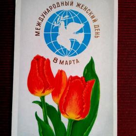Международный женский день 8 марта! А Соколова. 1977 г.