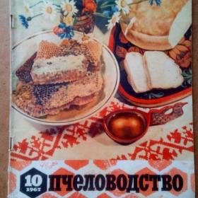 Журнал. Пчеловодство 1967 г. №10. (Ж3)