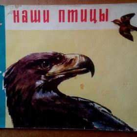 В. Бианки. Наши птицы. 1969 г. (Д)