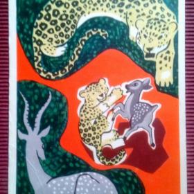 Малыш леопард и малыш антилопа. Сказка негров Восточной Африки. В. Дувидов. 1960 г. (М)