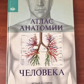 Атлас анатомии человека Книга увеличенный формат