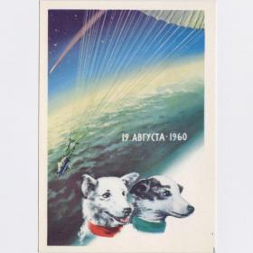 Открытка СССР собаки Белка Стрелка 1962 Викторов чистая космос звезды корабль спутник 19 август 1960