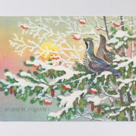 Открытка СССР Новый год 1989 Базаров чистая зима лес снег еловые ветки шишки птицы рябина рассвет