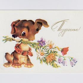 Открытка СССР Поздравляю 1983 Четвериков подписана собака щенок букет цветы ромашки колокольчики