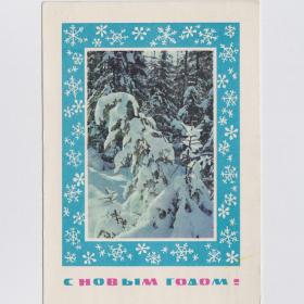 Открытка СССР Новый год 1969 Матанов Дергилев подписана ветки шишки зимний лес сугробы снег сосны
