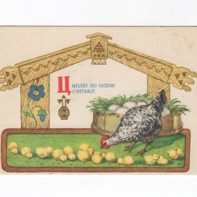 Открытка СССР Цыплят по осени считают 1956 Дудников чистая детская поговорки курица птицеводство