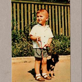 Открытка СССР. Дружок. Елисеев, 1969, чистая, дети, мальчик, ребенок, радость, щенок, собачка, забор