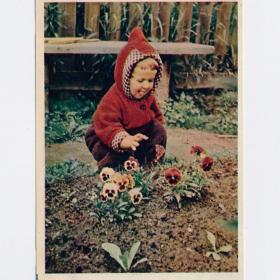Открытка СССР Садовод Гиппенрейтер 1958 чистая соцреализм детство дети бутуз ребенок клумба цветы