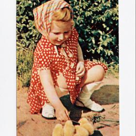 Открытка СССР. Девочка с цыплятами. Игнатович, 1969, чистая, дети, детство, радость, косынка, игра