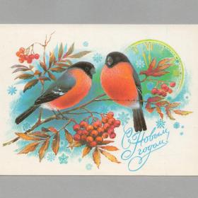 Открытка СССР Новый год 1984 Иванов подписана птицы снегири новогодняя ночь детство ветка дерево