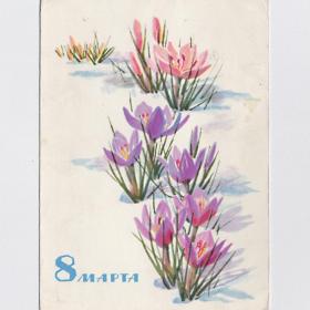 Открытка СССР. 8 Марта. Кирпичева, 1966, подписана, цветы, весна, радость, первоцвет, проталины