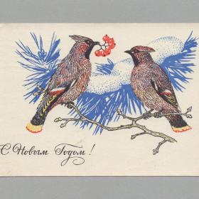 Открытка СССР Новый год 1969 Колганов подписана певчая птица свиристель новогодняя ночь детство лес