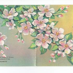 Открытка СССР Ласточки Весна Линде 1991 чистая двойная цветы ветка птицы ясное небо солнце жизнь май