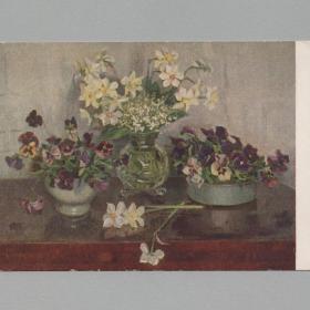 Открытка СССР Нарциссы анютины глазки 1955 Мясникова чистая винтаж стиль живопись букет цветы ваза