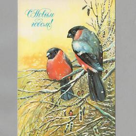 Открытка СССР Новый год 1986 Панченко подписана птицы снегири новогодняя ночь детство ветка дерево