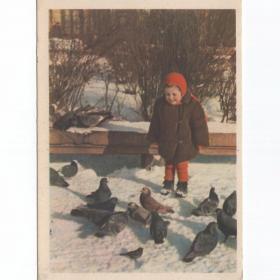 Открытка СССР Друзья 1956 Санько подписана соцреализм детство дети голуби ребенок радость зима улица