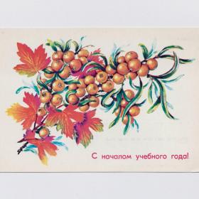 Открытка СССР 1 сентября 1982 Соколова чистая школа начало учебного года ягоды осень листья урожай