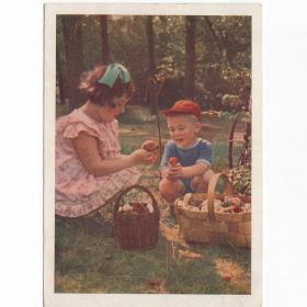 Открытка СССР Грибники 1957 Становов чистая соцреализм дети детство сбор грибов корзинка лес природа