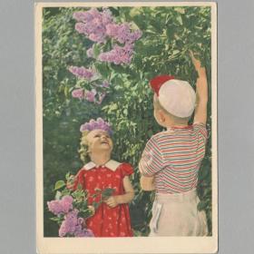 Открытка СССР Сирень цветет 1962 Становов чистая уголки соцреализм дети детство материнство радость