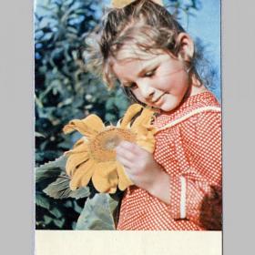 Открытка СССР. Красное лето. Фото С. Томилина, 1970 год, подписана (дети, детство)