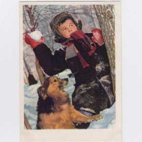 Открытка СССР. Игра в снежки. Зельма, 1961, чистая, детство, зима, дети, мальчик, собака, редкая