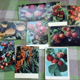 набор открыток 1960 годов"селекция садовых культур"