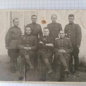 Фото военных офицеров после войны 12х8,5см